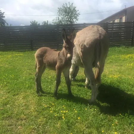 De La Ferme Aux Anesses, Mobil Myrtille * Bressuire