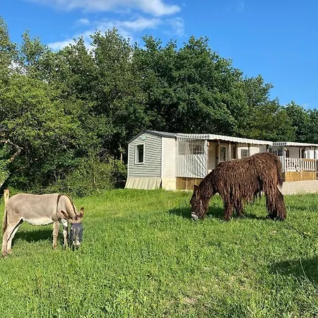 De La Ferme Aux Anesses, Mobil Myrtille