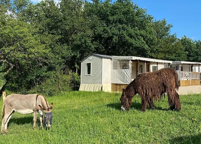 De La Ferme Aux Anesses, Mobil Myrtille